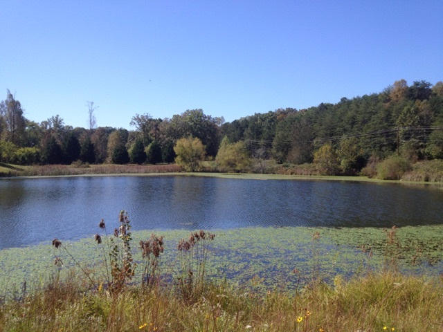Lot 3 Northwest Frontage Road Cleveland, TN 37312 - Photo 5 of 16 5