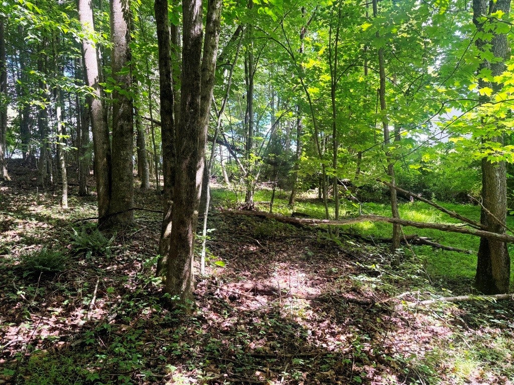 Lot 1 Kelly Road, Unit 1 Fancy Gap, VA 24328 - Photo 6 of 8 Gallery Image 6