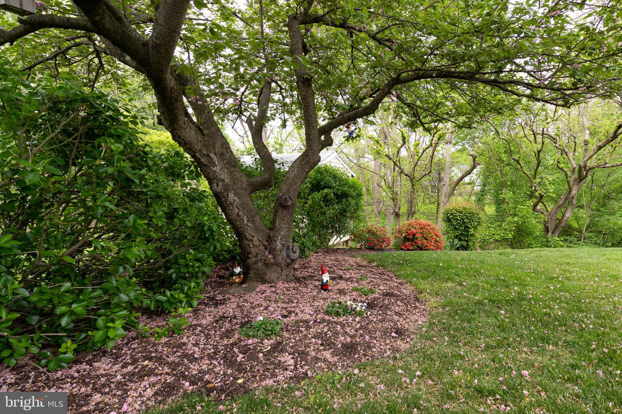 1113 Longbrook Road Lutherville-Timonium, MD 21093 - Photo 40 of 46 Gallery Image 40