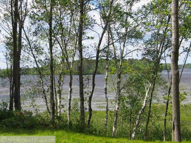 Lot 4 Smith Bridge Road Minong, WI 54859 - Photo 5 of 6 Gallery Image 5