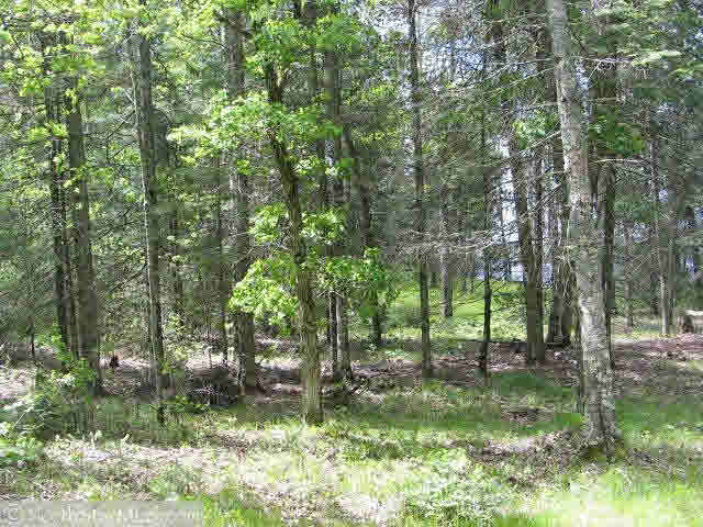 Lot 4 Smith Bridge Road Minong, WI 54859 - Photo 6 of 6 Gallery Image 6