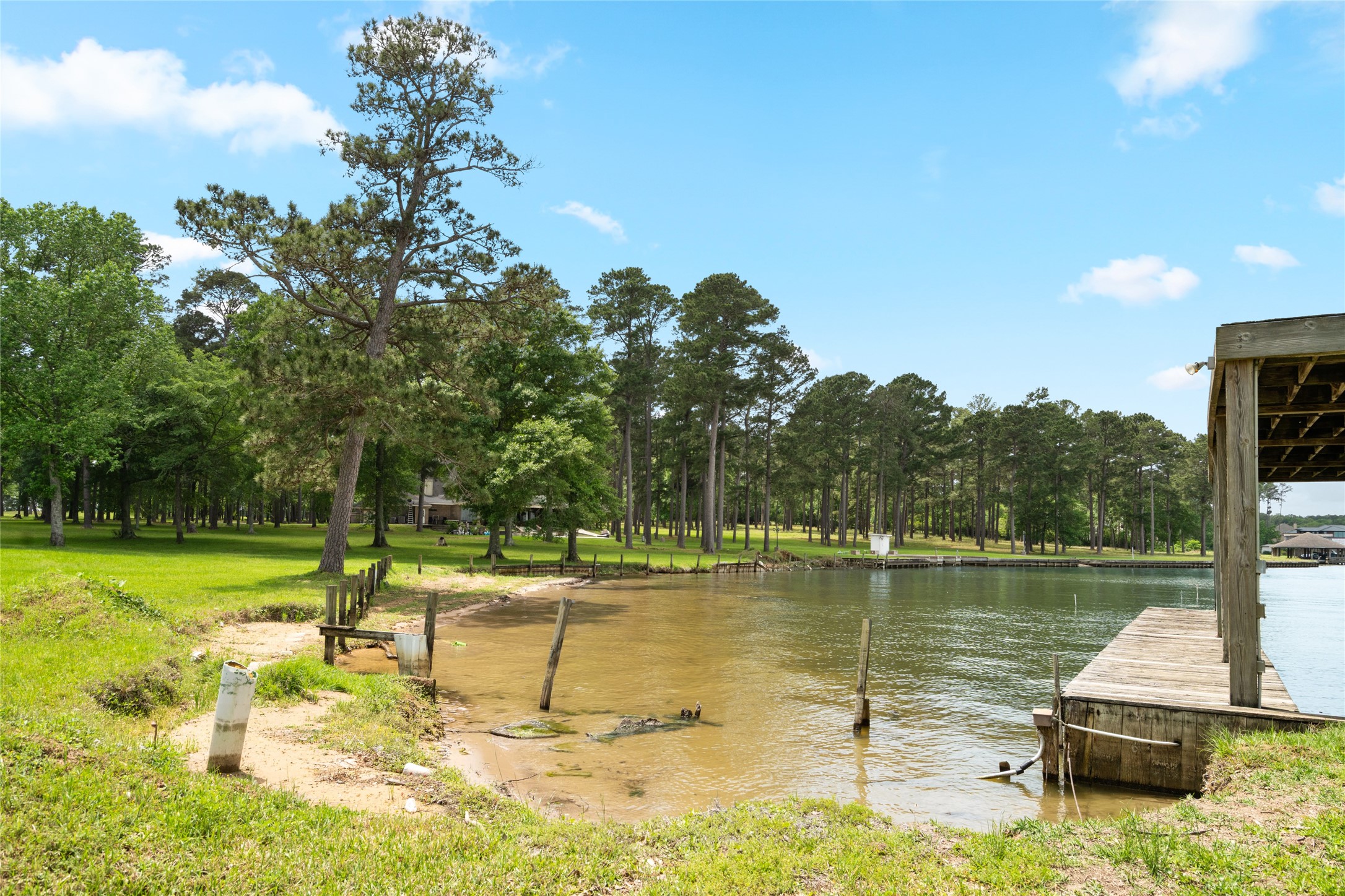 15126 Walden Road Montgomery, TX 77356 - Photo 13 of 50 Picturesque lake scene with seamless transition from land to water.