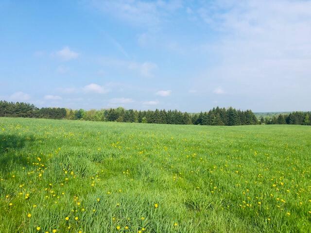 23142 3 Mile Road Reed City, MI 49677 - Photo 19 of 25 IMG_0482