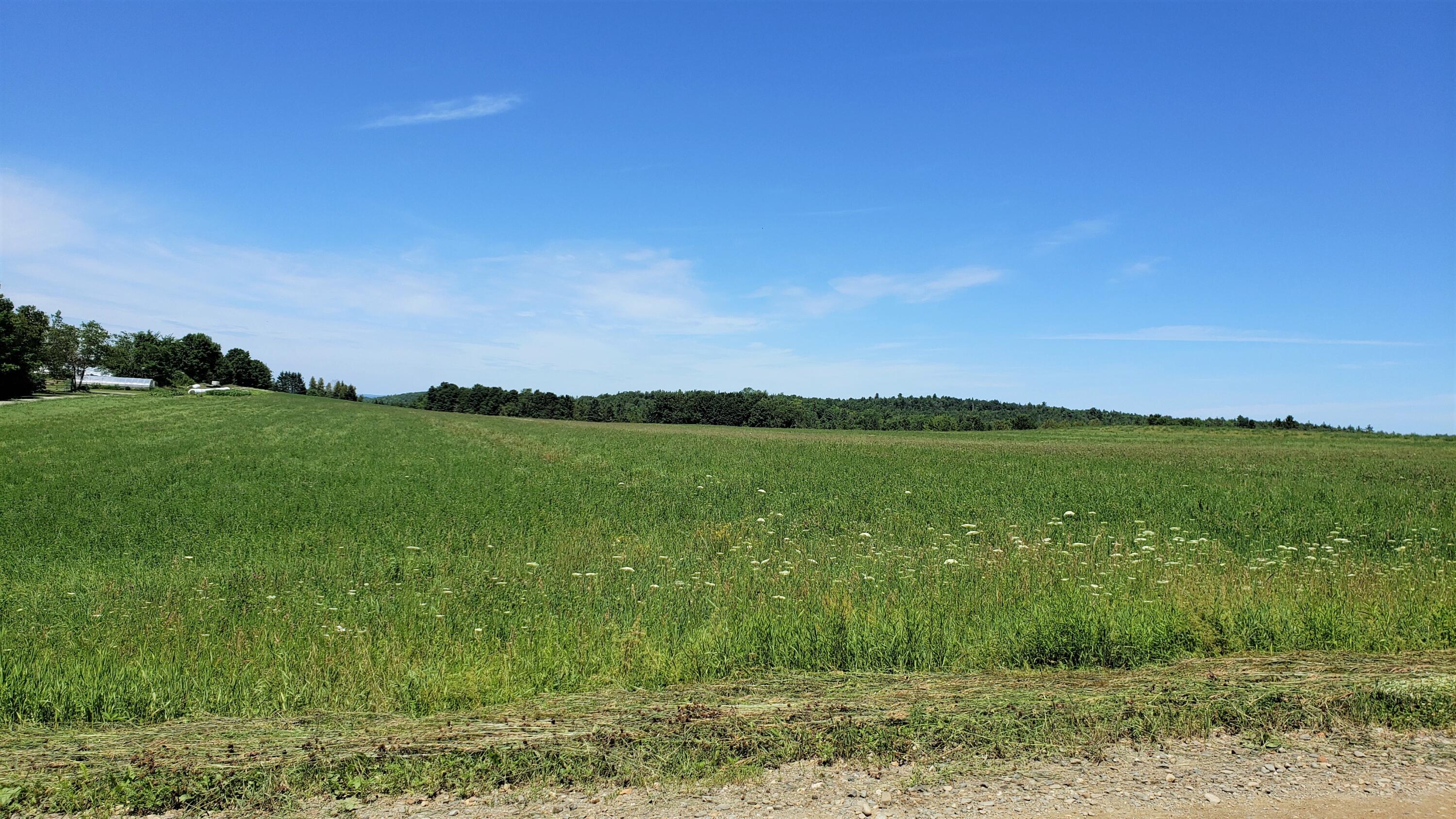 0 Palmer Road Thorndike, ME 04986 - Photo 3 of 4 View 1