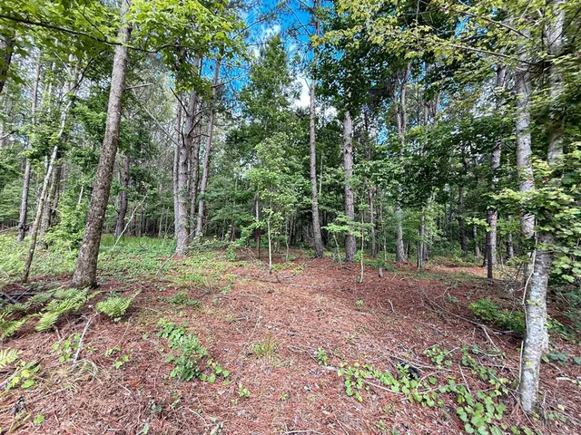 $695,000 | 14917 Northwest County Road 237, Alachua, FL 32615