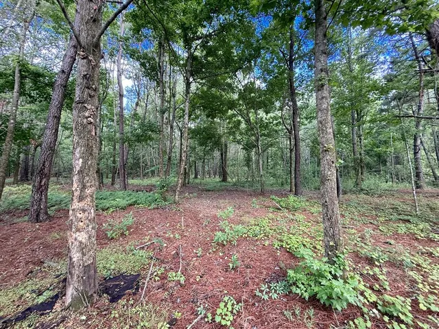 $695,000 | 14917 Northwest County Road 237, Alachua, FL 32615