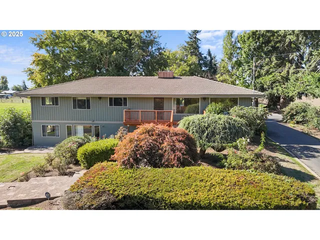 a view of house with a yard