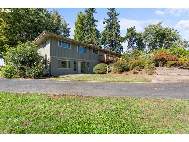 a view of a yard with plants and trees