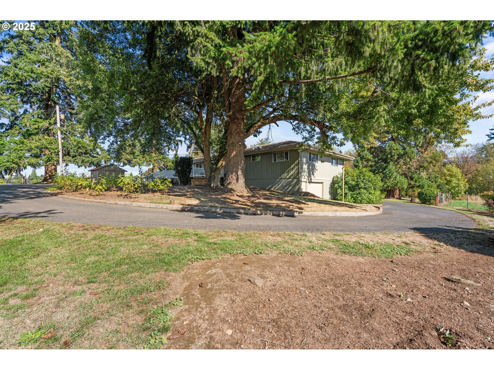 15895 Old Butteville Road Northeast Woodburn, OR 97071 - Photo 44 of 47 a view of road with large trees