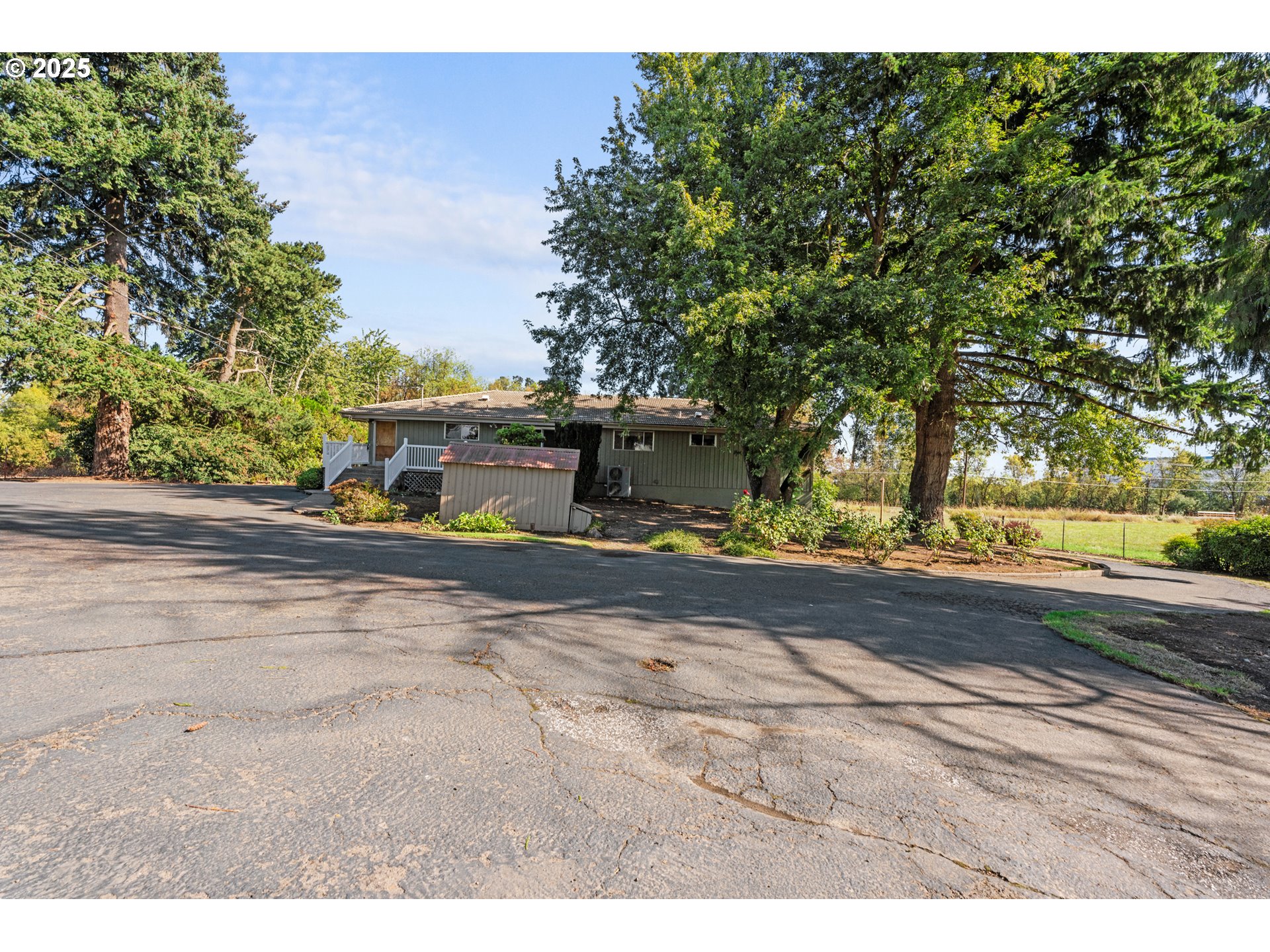 15895 Old Butteville Road Northeast Woodburn, OR 97071 - Photo 45 of 47 a view of a yard with plants and trees