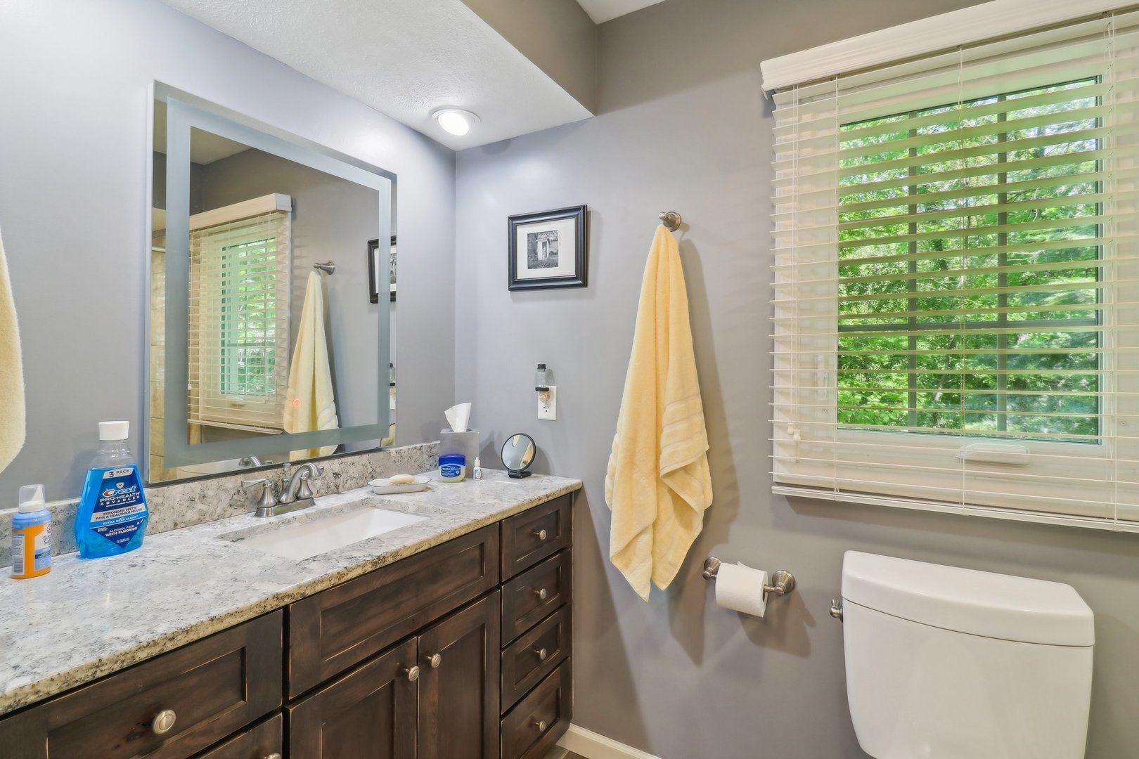 554 Baintree Road Davis, IL 61019 - Photo 23 of 53 a bathroom with a granite countertop sink and a large mirror next to a window