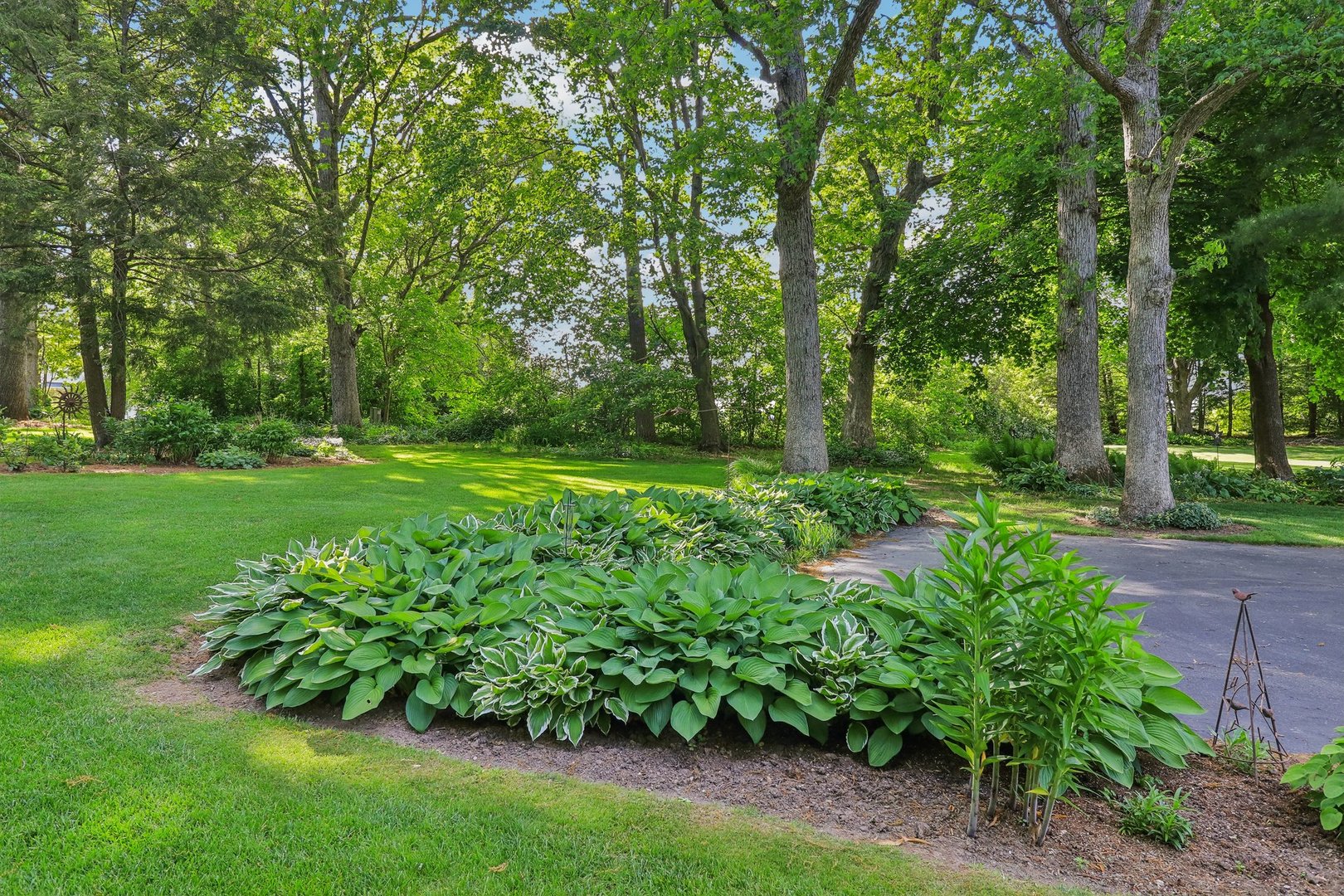 554 Baintree Road Davis, IL 61019 - Photo 48 of 53 a view of a garden with plants