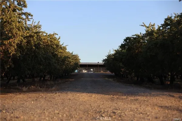 a view of street and trees