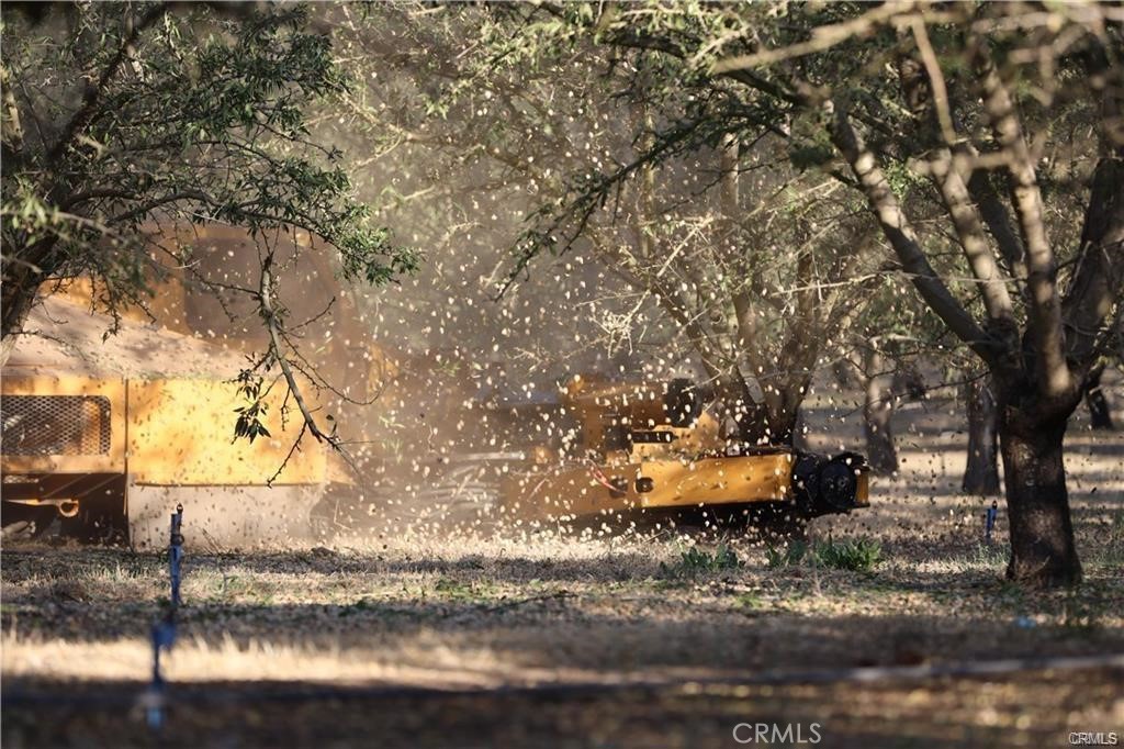 22600 Silver Ridge Road Denair, CA 95316 - Photo 4 of 6 a backyard of a house with lots of green space