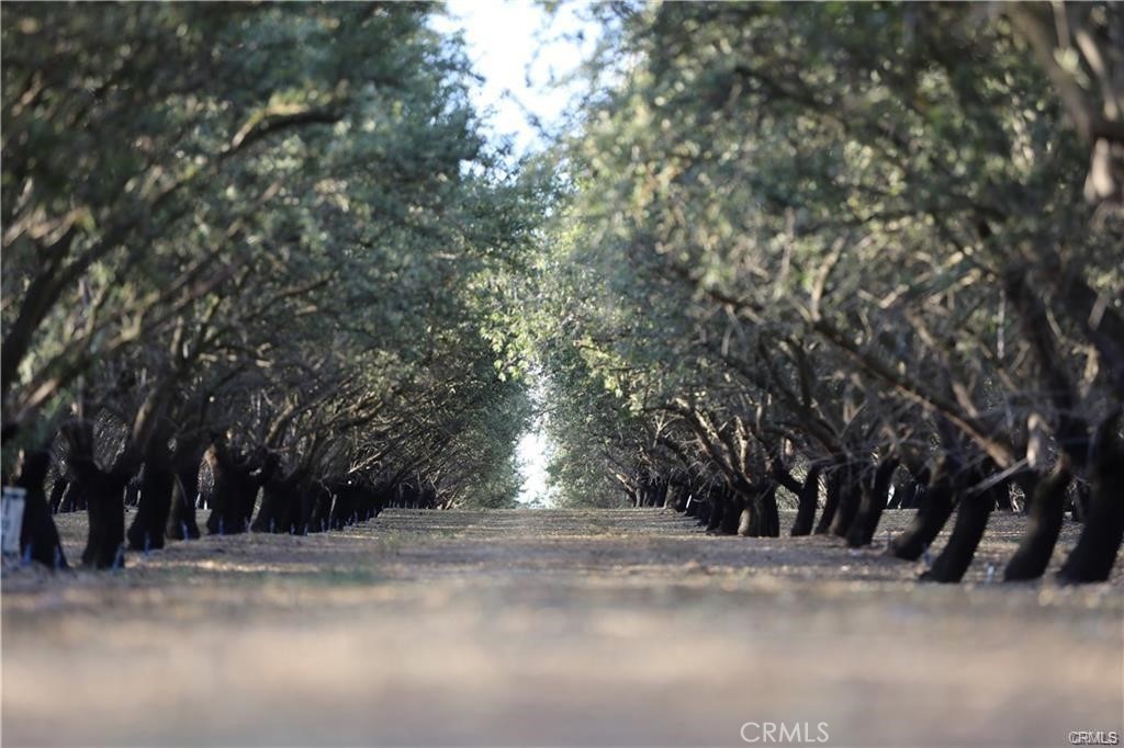 22600 Silver Ridge Road Denair, CA 95316 - Photo 6 of 6 a view of road and trees