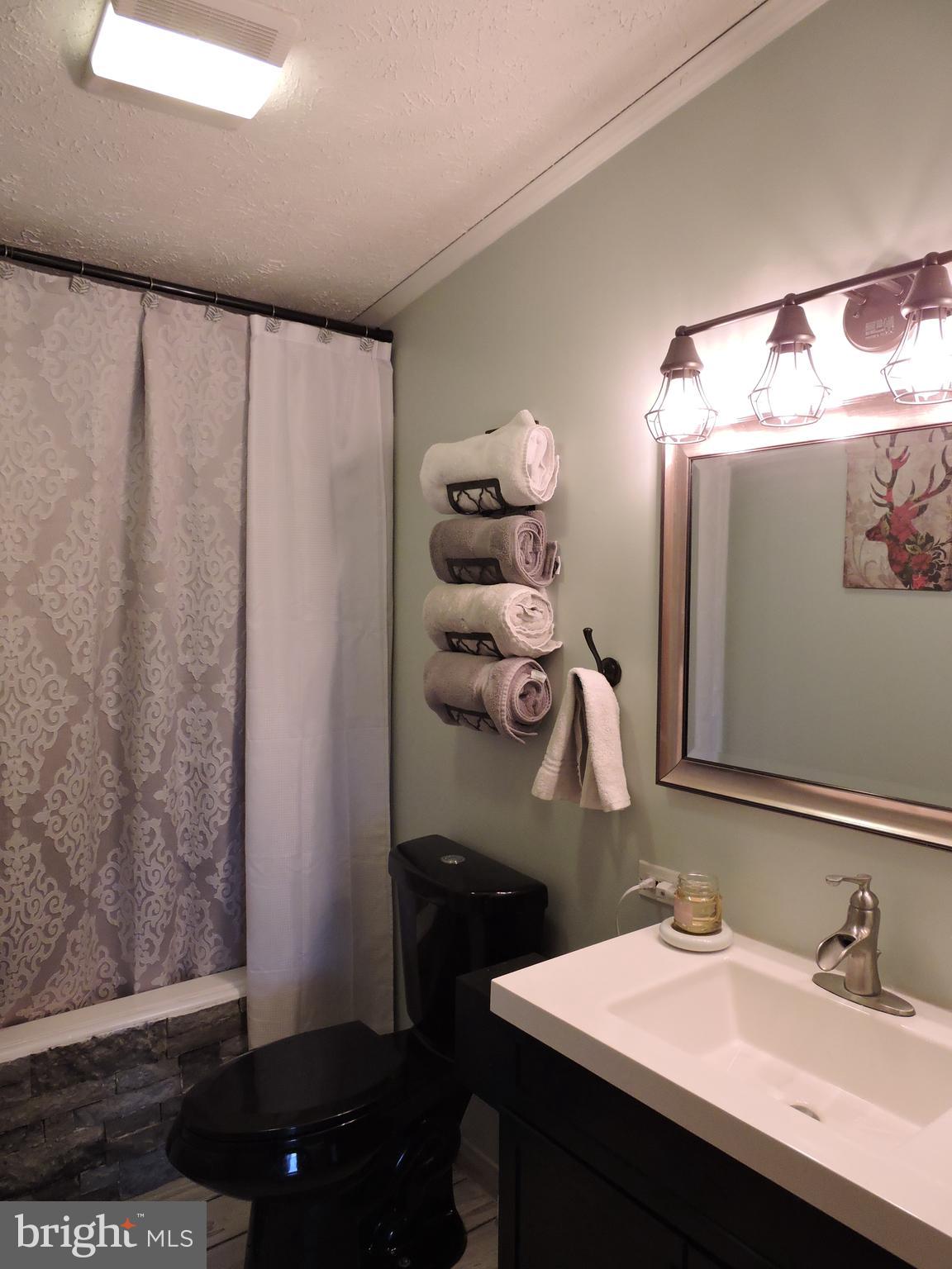 29037 Fire Tower Road Laurel, DE 19956 - Photo 17 of 40 Hall/ Guest Bathroom