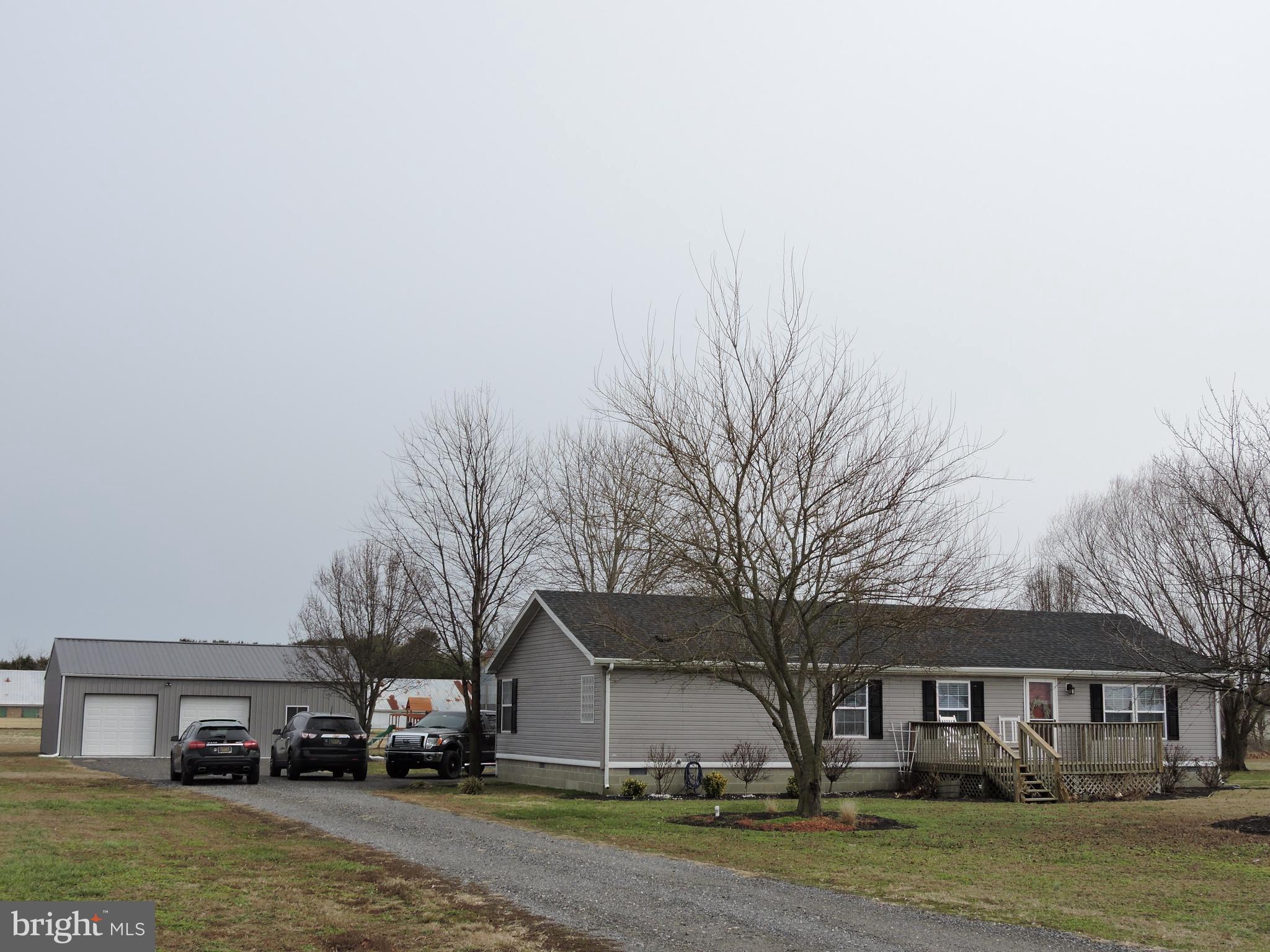 29037 Fire Tower Road Laurel, DE 19956 - Photo 3 of 40 Road view front left/drive way
