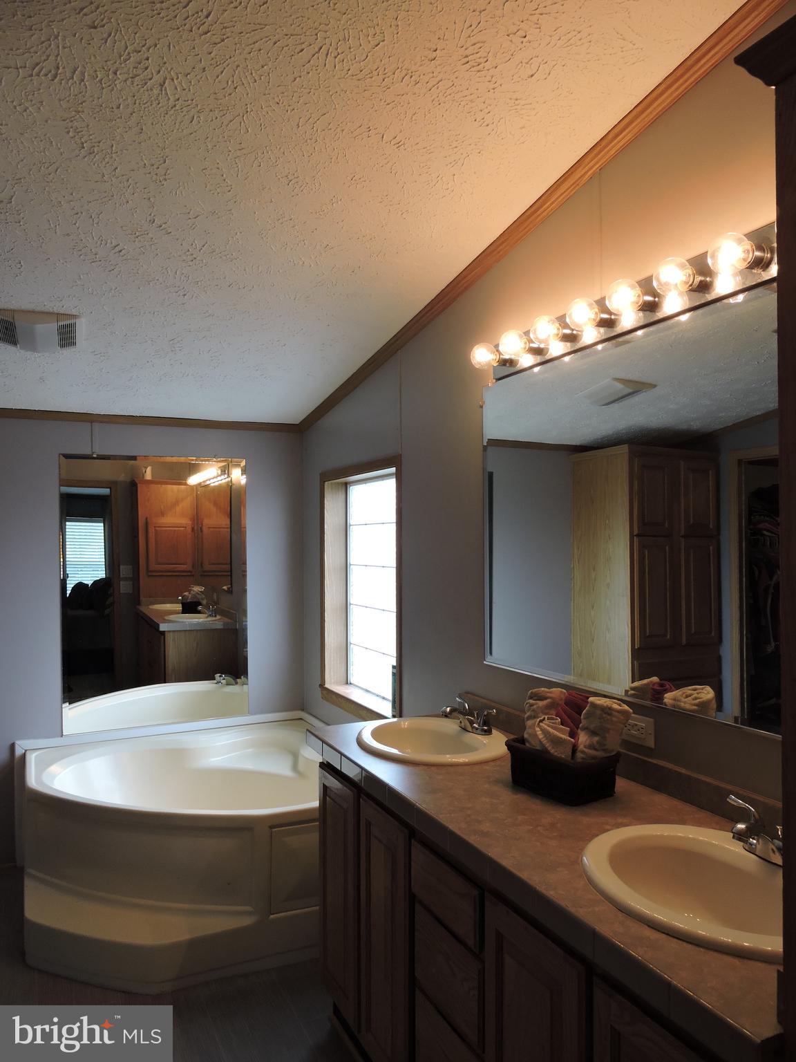 29037 Fire Tower Road Laurel, DE 19956 - Photo 21 of 40 Master Bath with soaking tub