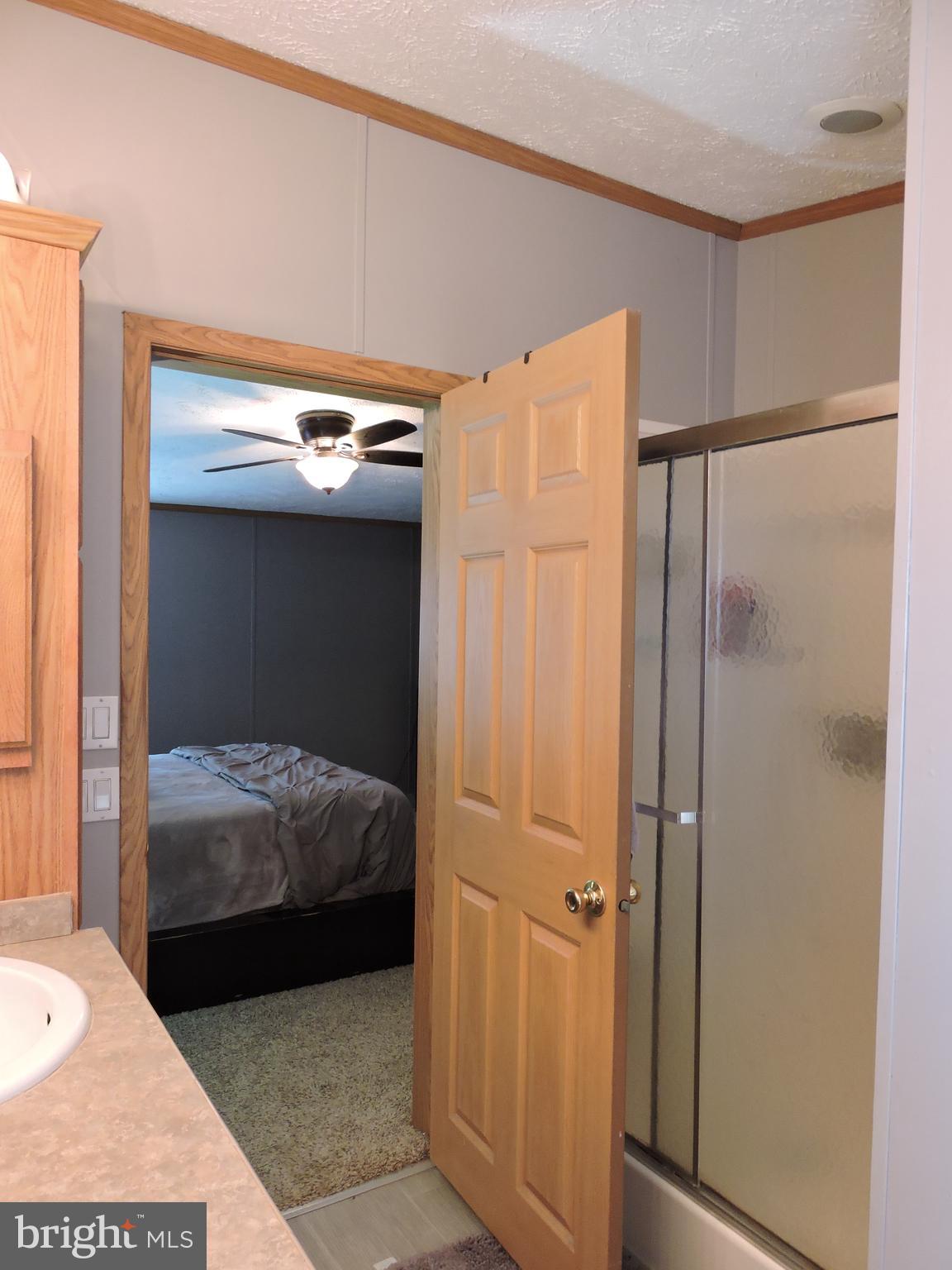 29037 Fire Tower Road Laurel, DE 19956 - Photo 22 of 40 Master stall shower