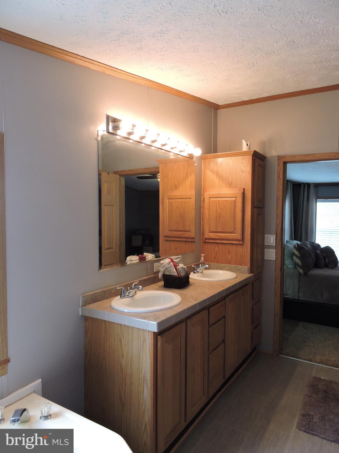 29037 Fire Tower Road Laurel, DE 19956 - Photo 23 of 40 Double sinks