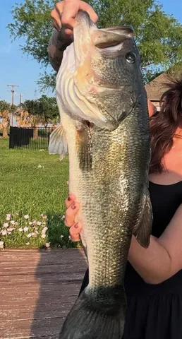 $1,399,000 | 6625 Gehrig Circle, Burleson, TX 76028