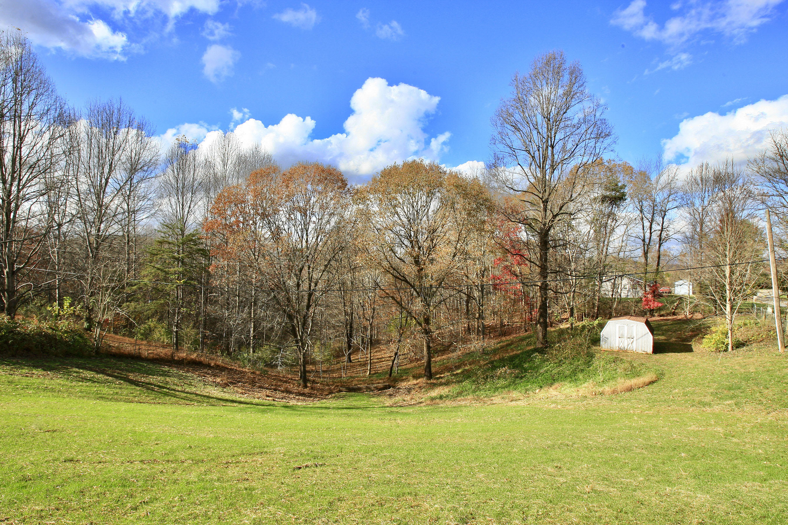 1025 Rock Spring Road Goodview, VA 24095 - Photo 40 of 73 a view of a yard with large trees