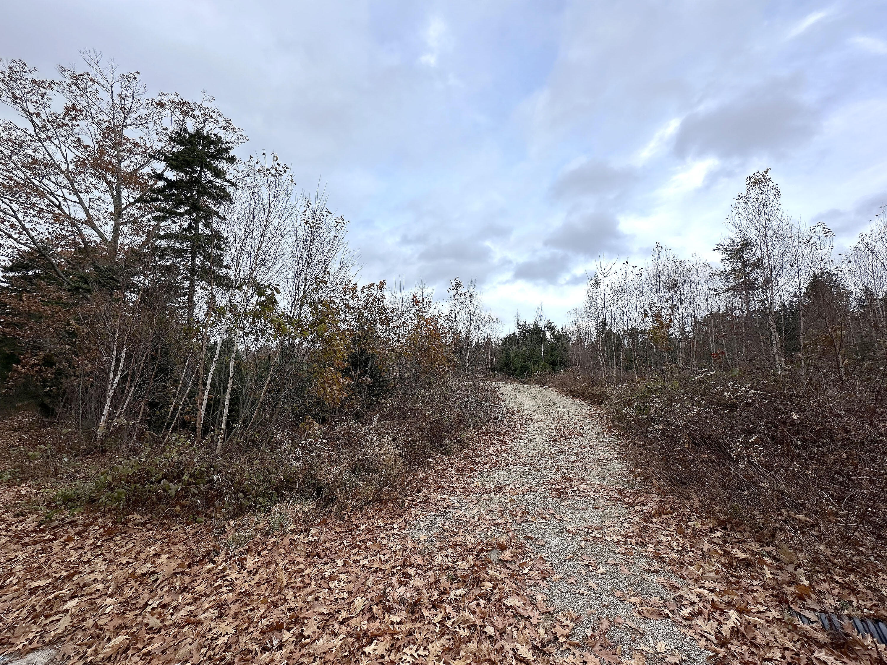 533 A Range Road Blue Hill, ME 04614 - Photo 13 of 26 533A RangeRoad_012