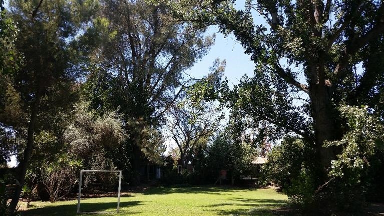 8906 Kings River Road Reedley, CA 93654 - Photo 3 of 10 Gallery Image 3