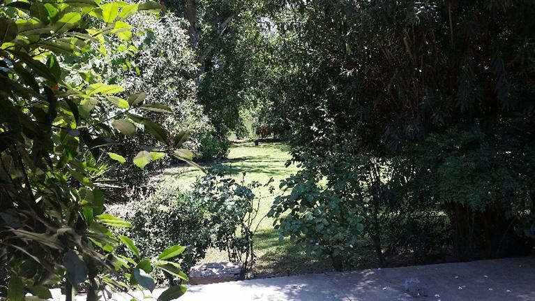 8906 Kings River Road Reedley, CA 93654 - Photo 7 of 10 Gallery Image 7