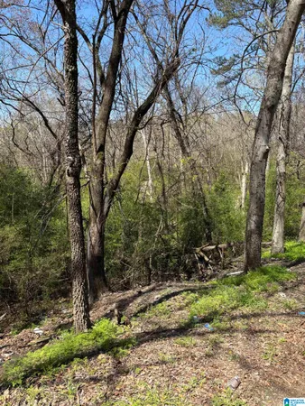 $13,050 | 1650 Simmons Street, Dolomite, AL 35061