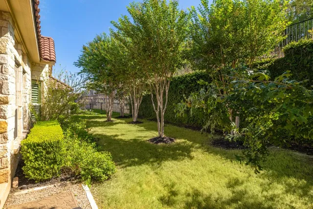 a backyard of a house with large trees and plants