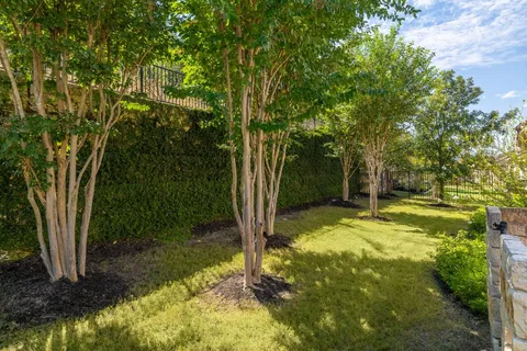 a view of a yard with trees
