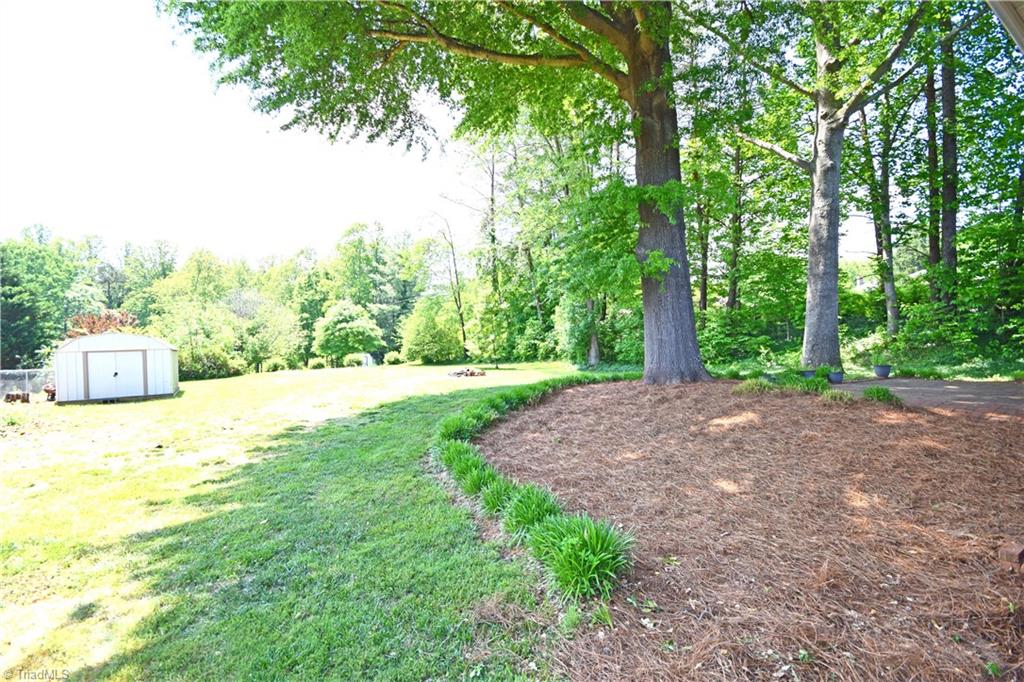 182 Buckingham Road Pinnacle, NC 27043 - Photo 4 of 25