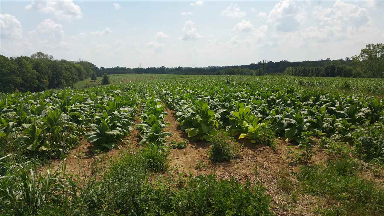0 Violet Road Verona, KY 41092 - Photo 8 of 12 Gallery Image 8
