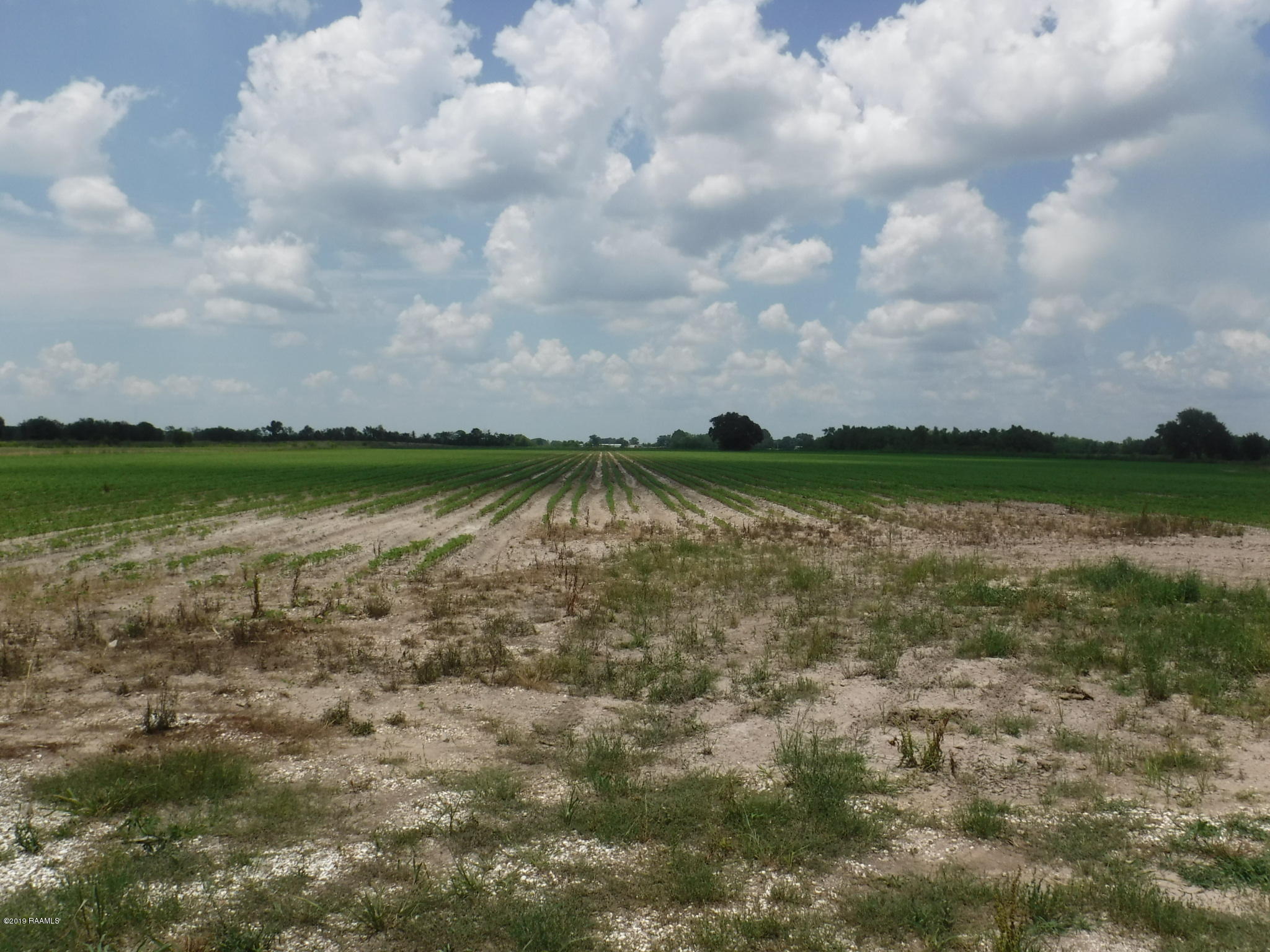 Tanner Road Scott, LA 70583 - Photo 1 of 7 DSCF6446