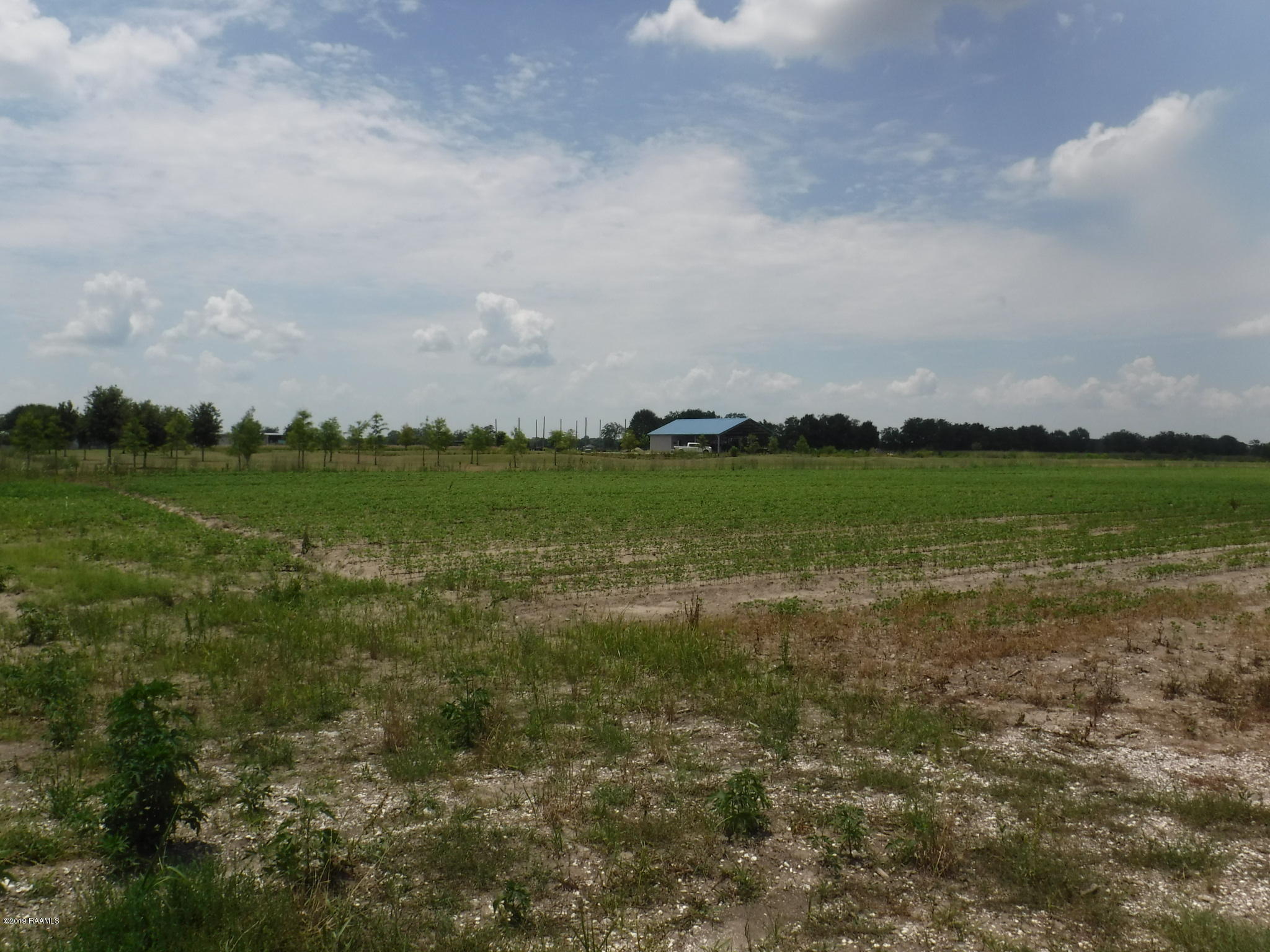 Tanner Road Scott, LA 70583 - Photo 5 of 7 DSCF6448