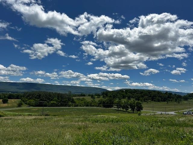 Tbd Turkey Knob Road Mount Jackson, VA 22842 - Photo 2 of 6 a view of a big yard