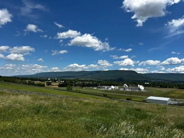 a view of a big yard