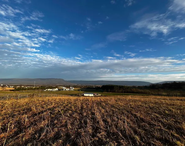 a view of an ocean of city
