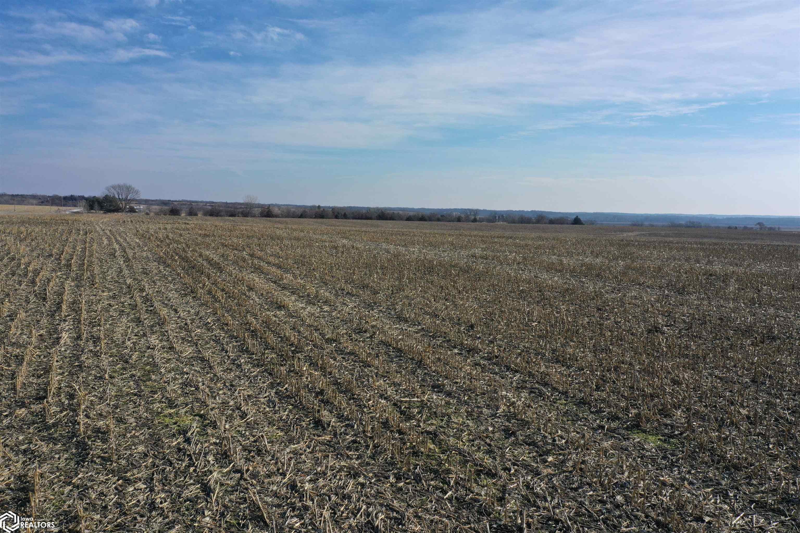 250th Street Decatur, IA 50067 - Photo 3 of 18 Gallery Image 3