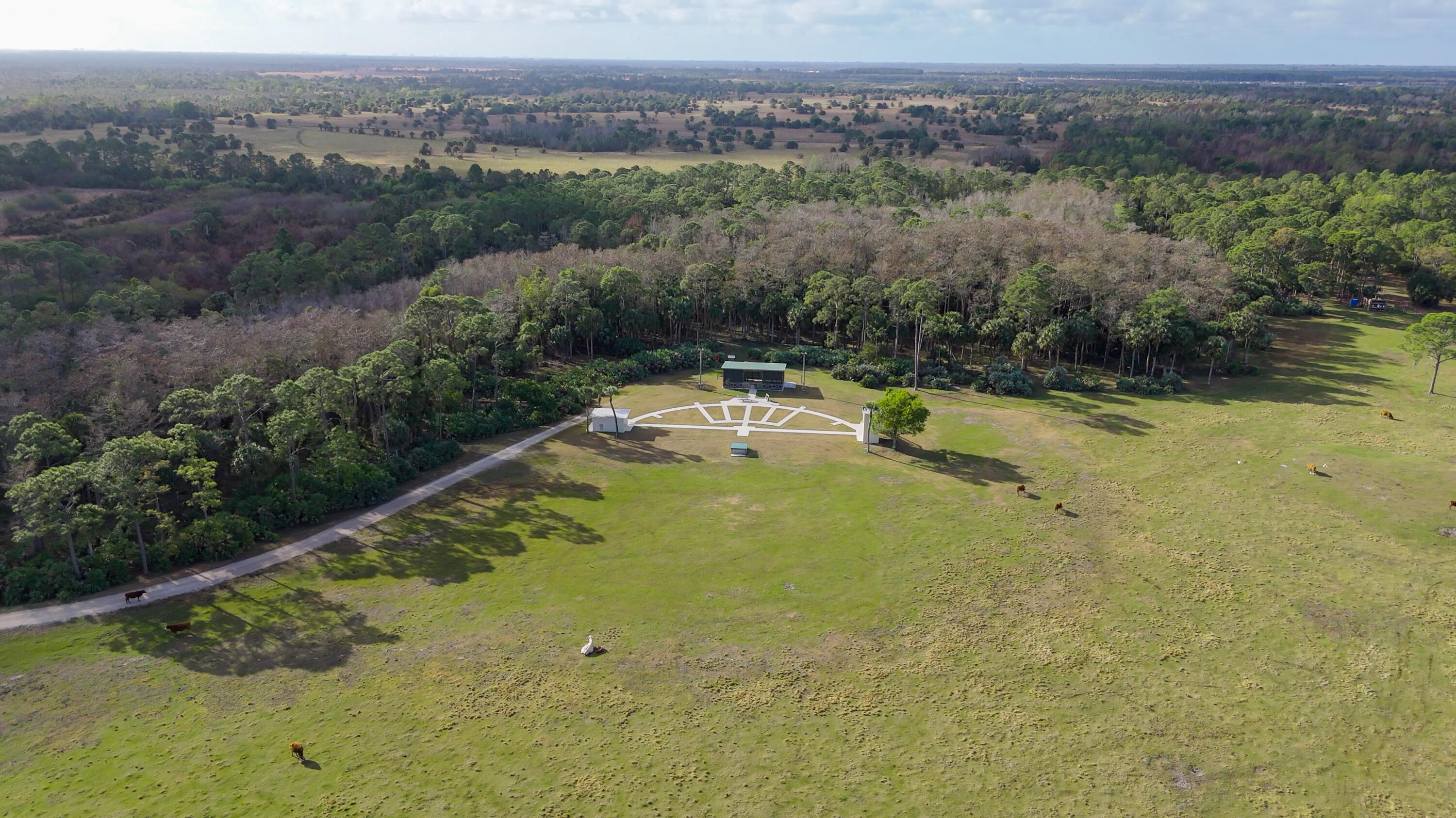 4350 Southeast Bridge Road Hobe Sound, FL 33455 - Photo 8 of 16 a view of a swimming pool with a yard