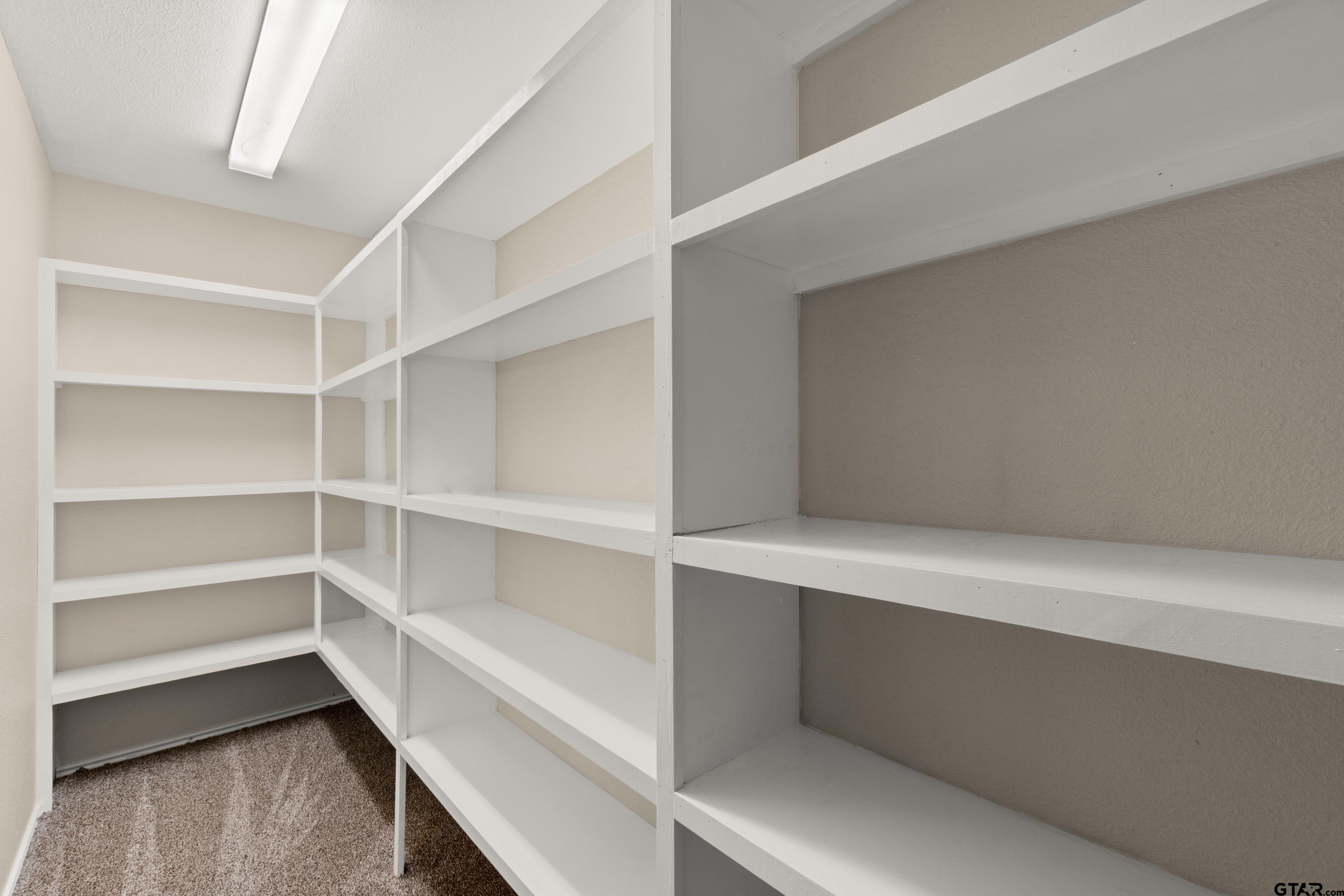 672 County Road 4960 Pittsburg, TX 75686 - Photo 15 of 26 a view of walk in closet with empty racks