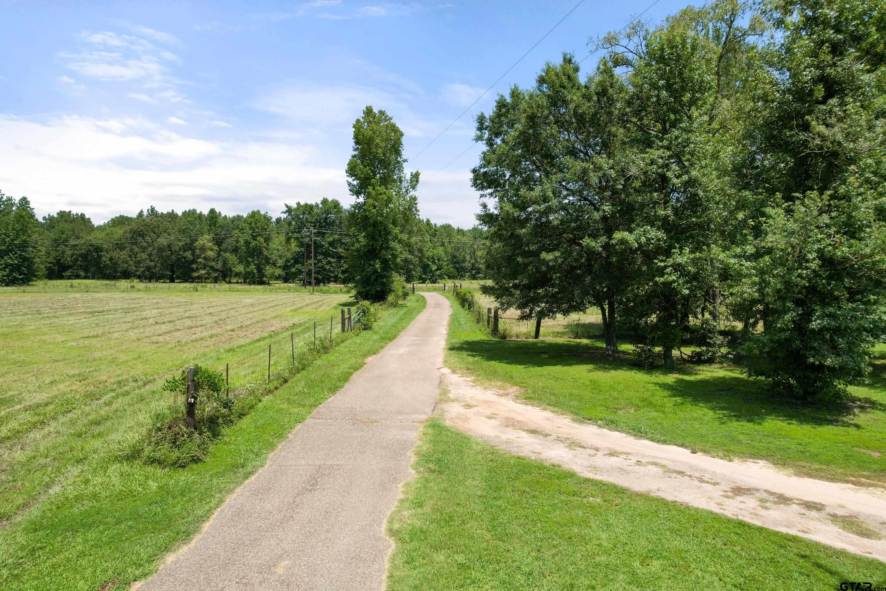 672 County Road 4960 Pittsburg, TX 75686 - Photo 4 of 26 a view of park with large trees