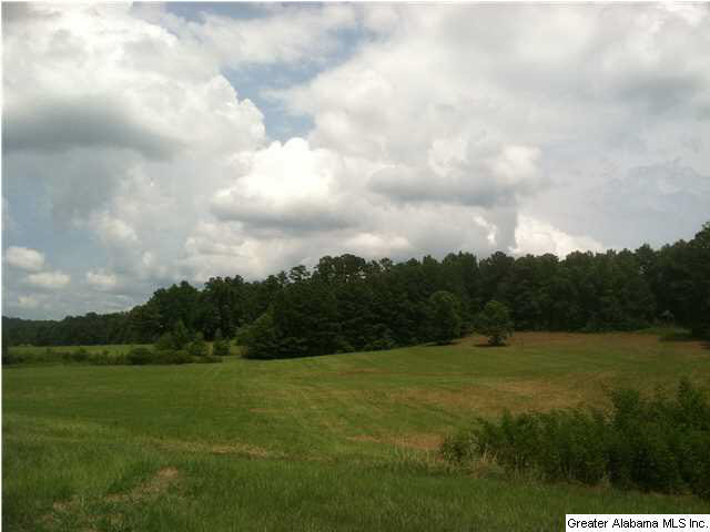 Browning Road, Unit 78 Odenville, AL 35120 - Photo 16 of 18