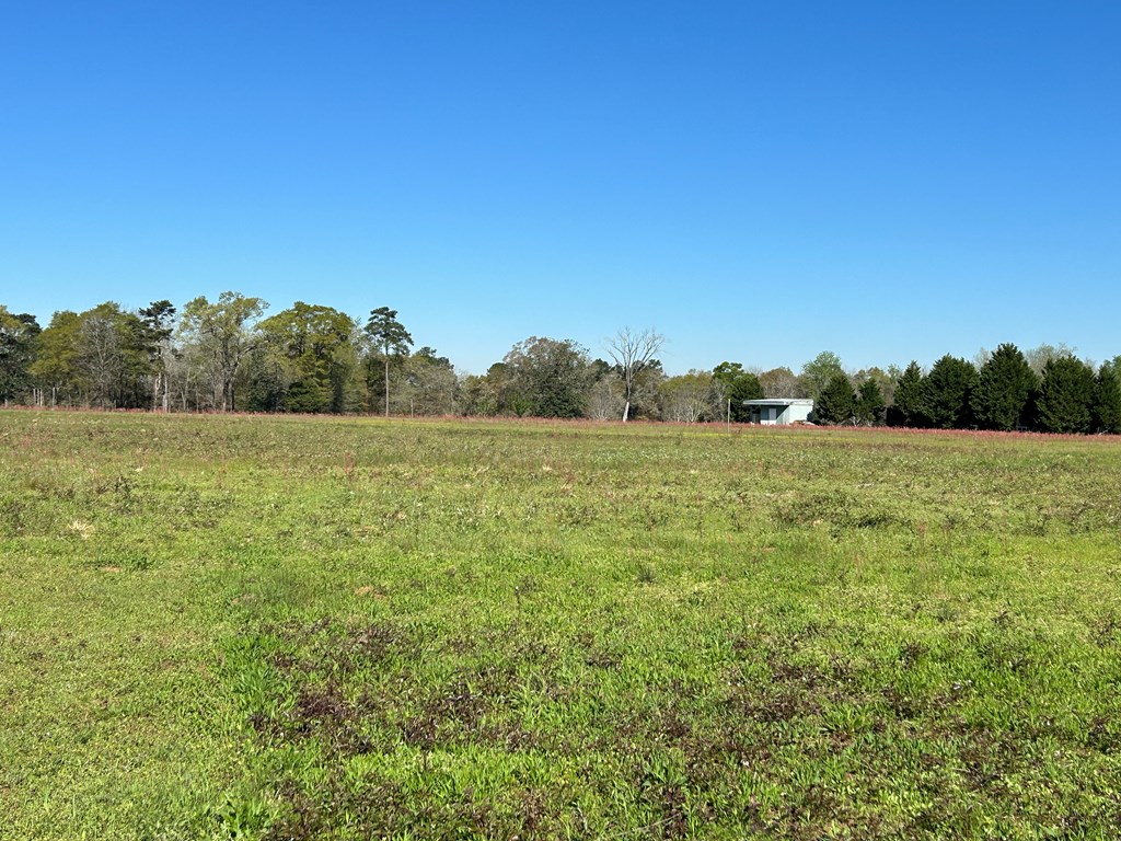 16.14-ac Lees Bridge Road Midland City, AL 36350 - Photo 7 of 28