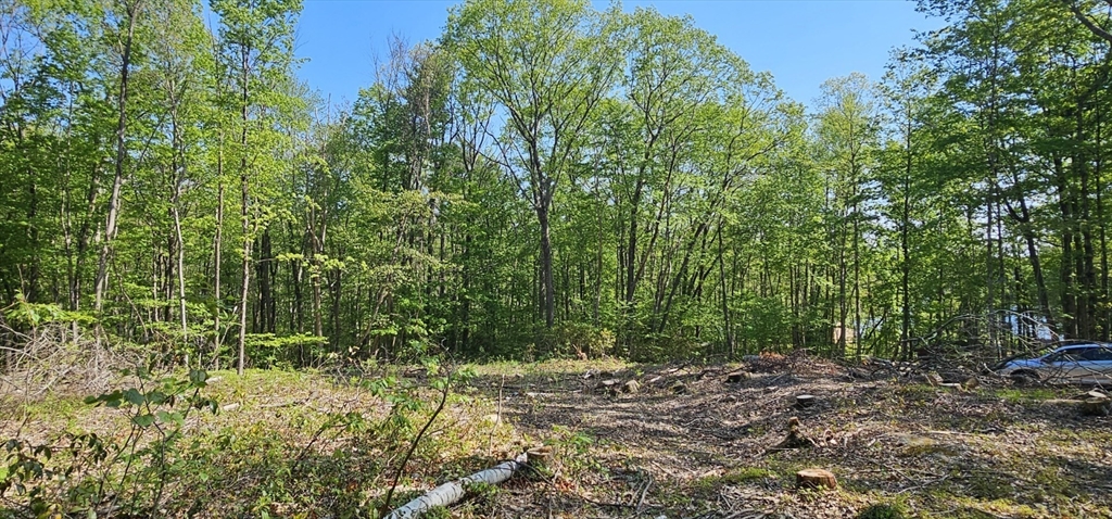 12 Carey Road Sturbridge, MA 01566 - Photo 8 of 14