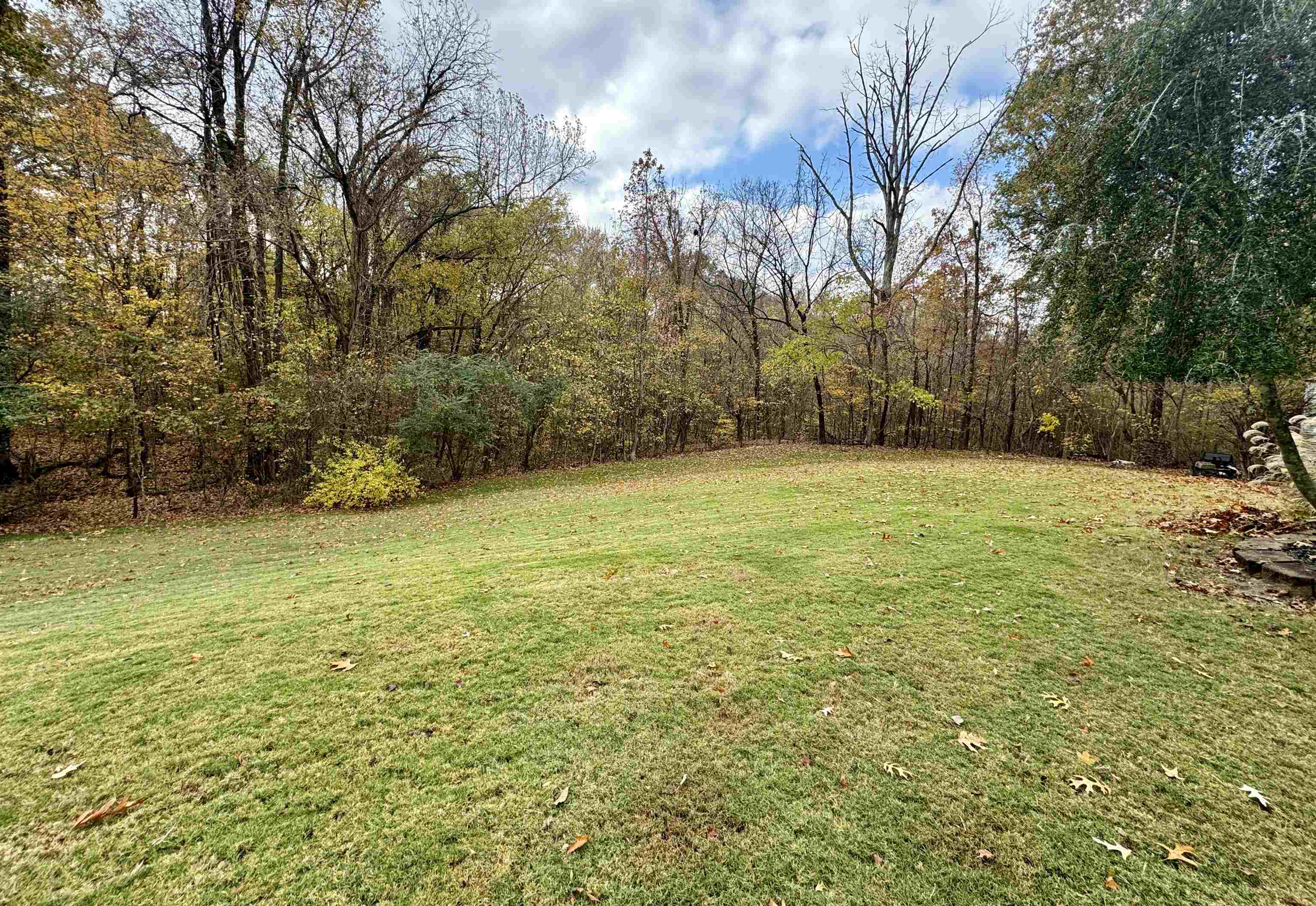 47 Chisholm Lake Road Ripley, TN 38063 - Photo 2 of 26 a view of a field with trees in the background