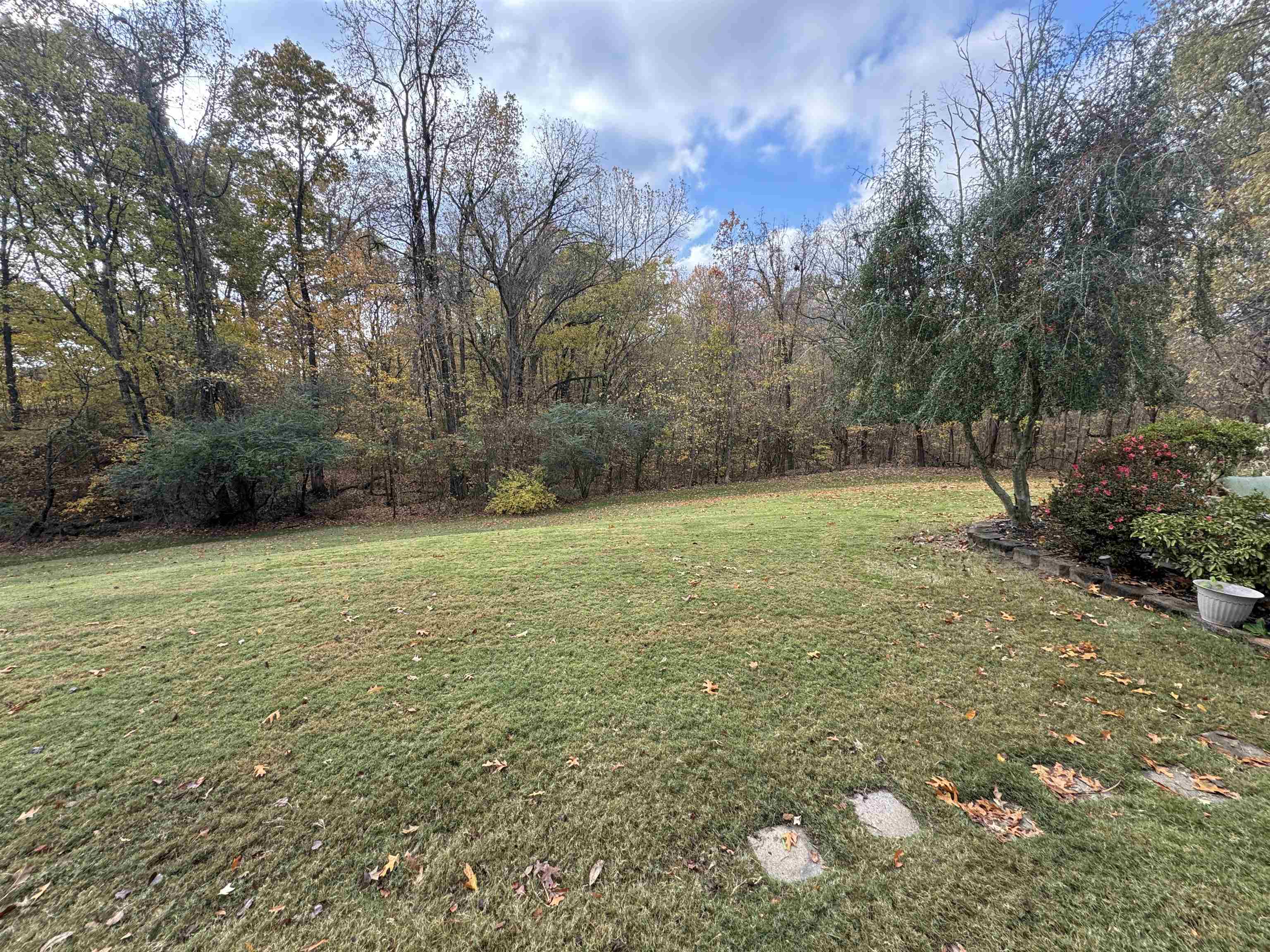 47 Chisholm Lake Road Ripley, TN 38063 - Photo 3 of 26 a view of a field with trees in the background