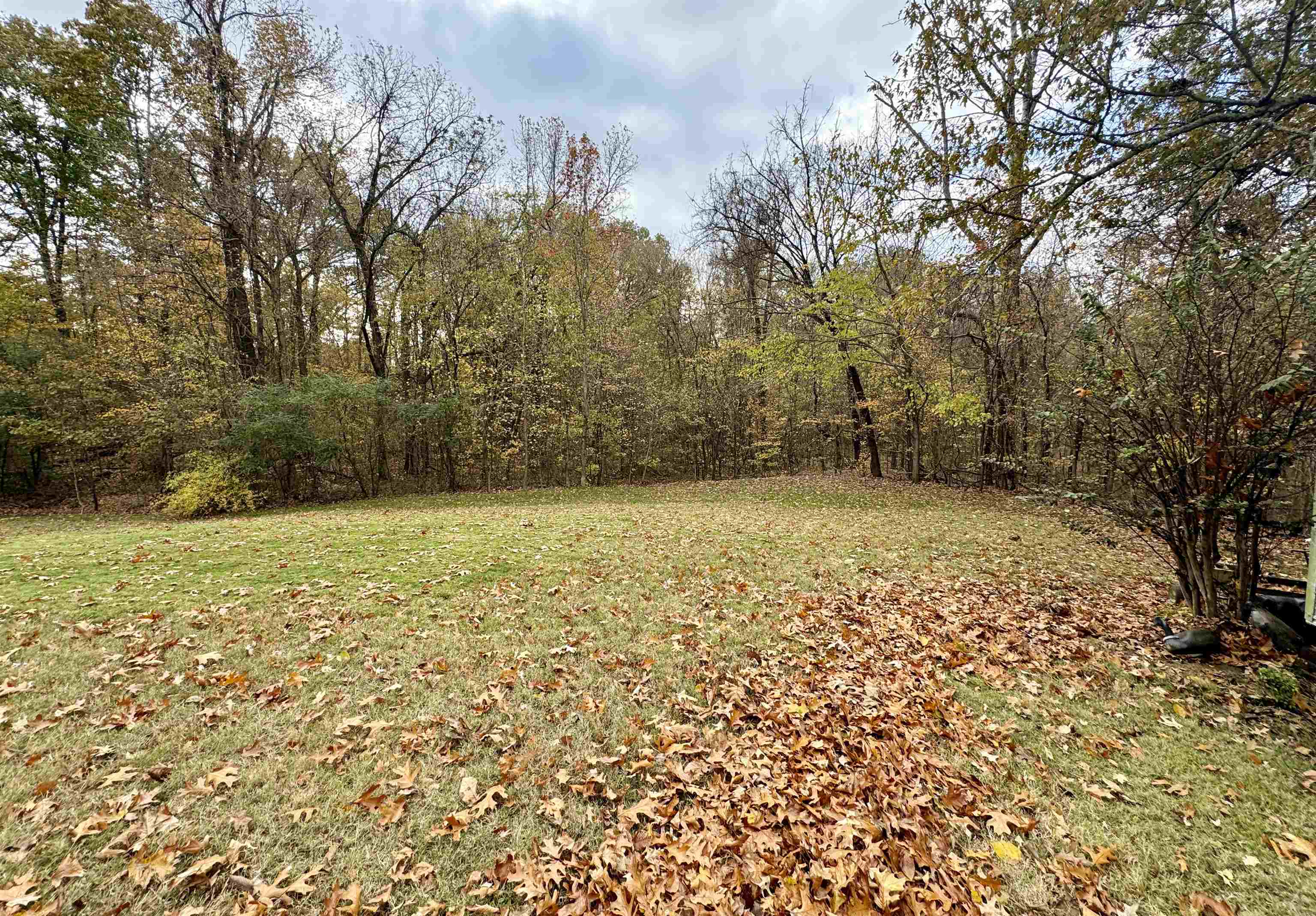 47 Chisholm Lake Road Ripley, TN 38063 - Photo 7 of 26 a view of outdoor space and yard
