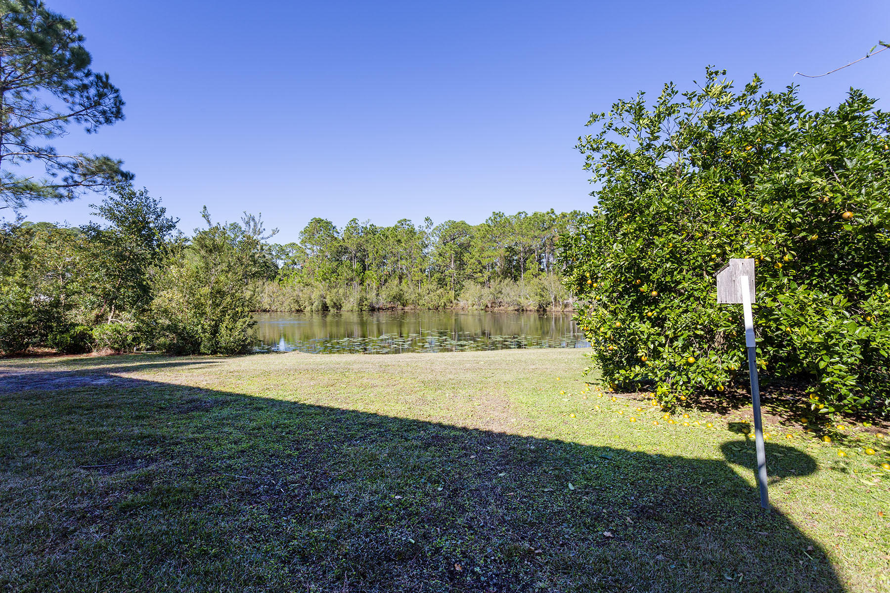 277 Somerset Bridge Road Santa Rosa Beach, FL 32459 - Photo 5 of 31 Somerset Bridge Rd - Back Yard_MLS